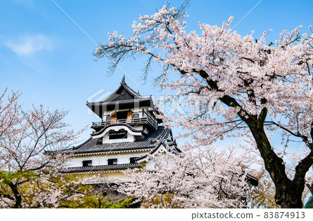 Inuyama Castle, Inuyama City, Aichi Prefecture Sakura and castle tower Inuyama Castle, Inuyama City, Aichi Prefecture Sakura and castle tower 83874913