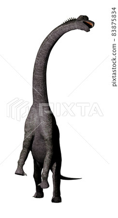 Brachiosaurus ☆ Brachiosaurus 83875834