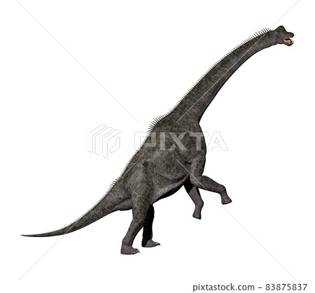 Brachiosaurus ☆ Brachiosaurus 83875837