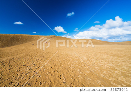 Tottori sand dunes and tourists Tottori sand dunes and tourists 83875941
