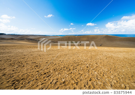 Tottori sand dunes and tourists Tottori sand dunes and tourists 83875944