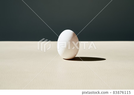 Single white egg, minimalism concept Single white egg, minimalism concept 83876115