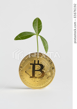 golden bitcoin with plant it. High quality beautiful photo concept 83876192