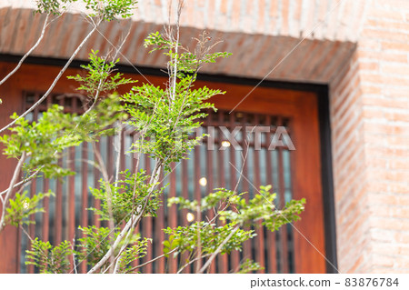Modern home eco office building with plant tree for green ozone for fresh air purify and UV heat protection saving energy. 83876784