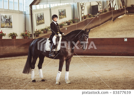 woman jockey with his horse 83877639