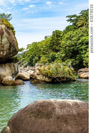 Rainforest invading the sea through the rocks Rainforest invading the sea through the rocks 83878016