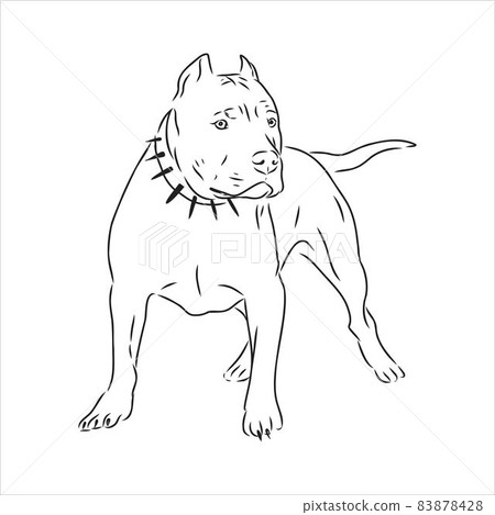 Vector sketch drawing pitbull barking pit bull terrier dog vector 83878428