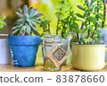 室內盆景 83878660