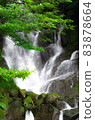 森林裡的瀑布 83878664