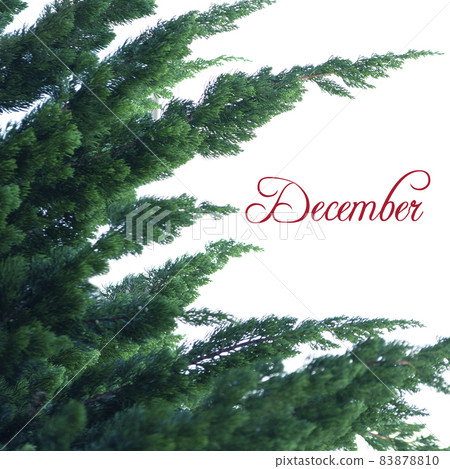 December and season images 83878810