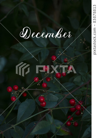 December and season images December and season images 83878813
