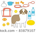 St. Bernard for a walk 83879107