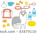 Siberian husky for a walk 83879110