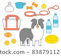 Border collie to take a walk 83879112