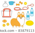 Welsh corgi to take a walk 83879113