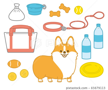 Welsh corgi to take a walk Welsh corgi to take a walk 83879113