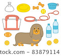 Dachshund to take a walk 83879114