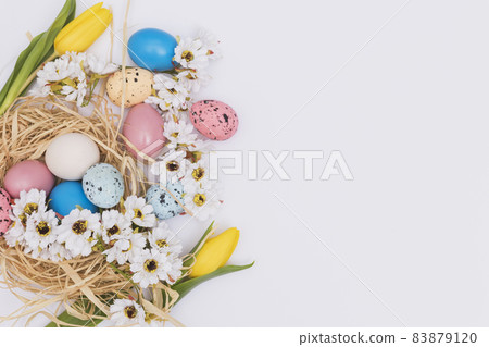flowers near eggs nest. High quality beautiful photo concept 83879120