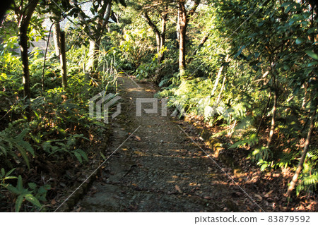 在山區的道路 在山區的道路 83879592