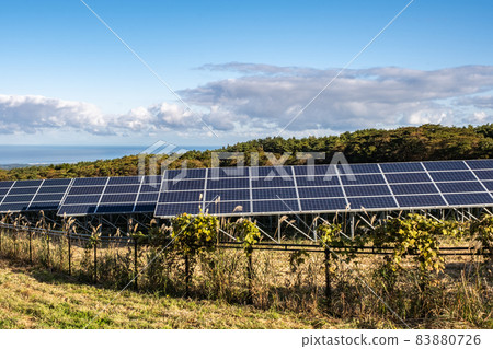 [可再生能源] 太陽能電池板 太陽能發電 83880726