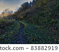 Scenery of Yuzawa Kogen 24 83882919