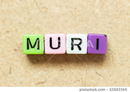Color alphabet letter block in word muri on wood background Color alphabet letter block in word muri on wood background 83883569
