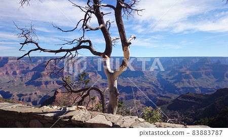 Grand Canyon South Rim landscape Grand Canyon South Rim landscape 83883787