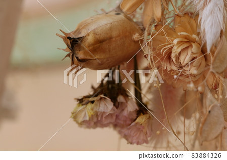 掛乾花展銷 83884326