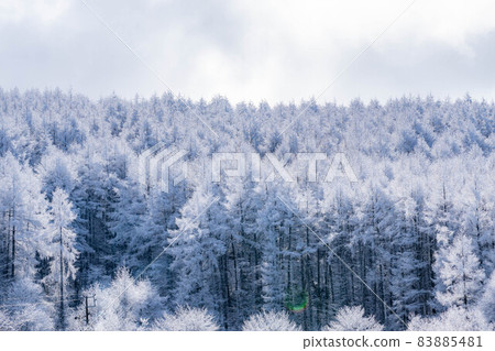 【冬季素材】日尻高原的霧凇和倒影【長野縣】 【冬季素材】日尻高原的霧凇和倒影【長野縣】 83885481