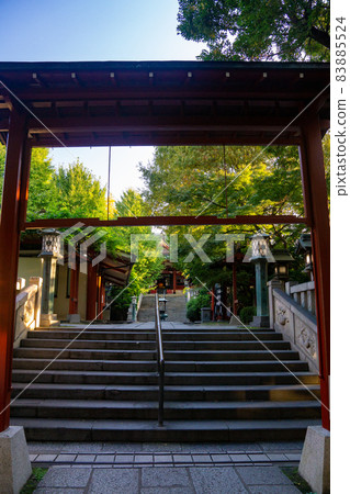 Waiting milk mountain Seiten stone steps precincts 83885524