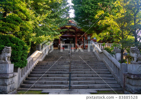 Mt. Machiyama Seiten, stone steps in front of the main hall Mt. Machiyama Seiten, stone steps in front of the main hall 83885528