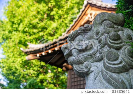 小馬努山 小馬努山 83885641