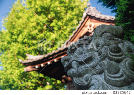 小舞淺草町山書電 小舞淺草町山書電 83885642