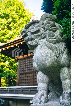 小舞淺草町山書電 小舞淺草町山書電 83885644