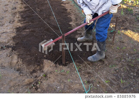蔥苗種植工作風光 蔥苗種植工作風光 83885976