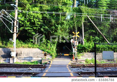 鐵路道口和竹林 83886788