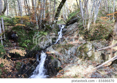 A river like a thin waterfall flowing between big rocks and a forest landscape where you can see various trees, bamboo grass, moss and fallen leaves 83886870