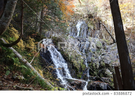 森林山中的景觀，有瀑布、秋樹、綠樹、蕨牙、苔蘚等。 83886872