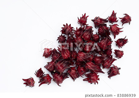 Roselle flower isolated on white background. 83886939