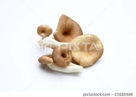 Fresh oyster mushroom on white background. Fresh oyster mushroom on white background. 83886986