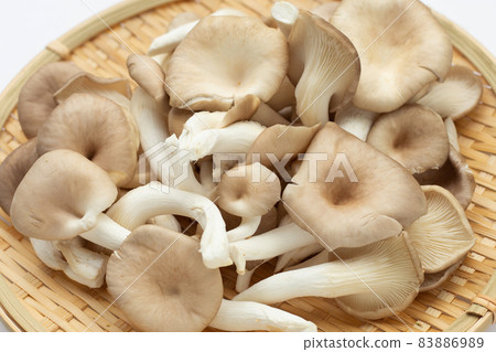 Fresh oyster mushroom in bamboo basket on white background. Fresh oyster mushroom in bamboo basket on white background. 83886989
