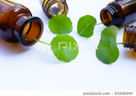 Fresh green centella asiatica leaves with medicine bottles Fresh green centella asiatica leaves with medicine bottles 83886994