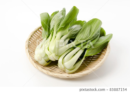 白菜 白菜 83887154