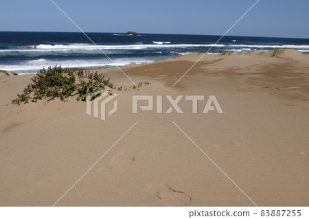 鳥取四季漫步秋日沙丘 鳥取四季漫步秋日沙丘 83887255