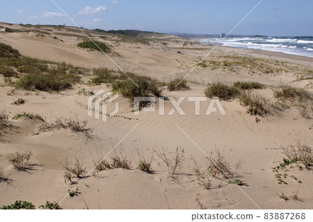 Tottori four seasons walk autumn sand dunes 83887268