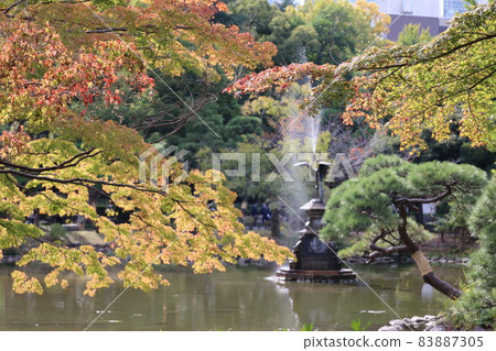 Autumn leaves and gardens Autumn leaves and gardens 83887305