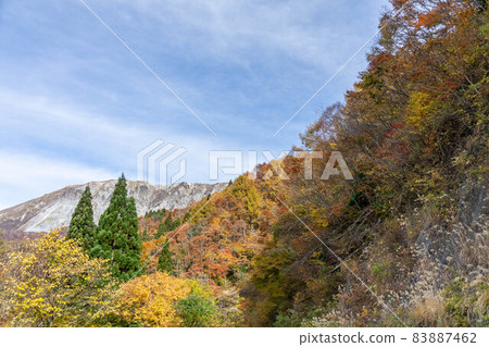 Autumn leaves of Oyama Autumn leaves of Oyama 83887462