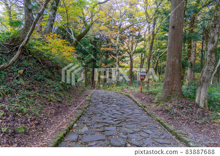 Oogami Shrine Oogami Shrine 83887688