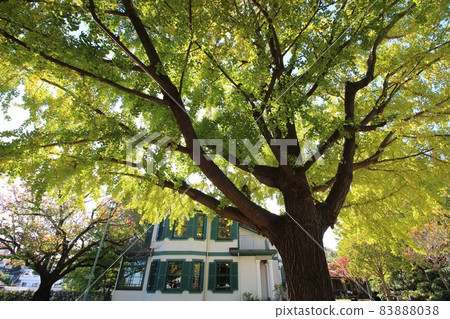 Autumn's Bluff 18th building 83888038