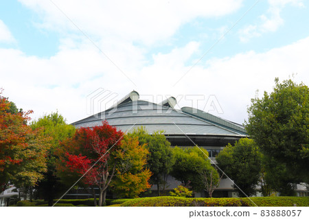 廣島綠色競技場 83888057